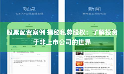 股票配资案例 揭秘私募股权：了解投资于非上市公司的世界