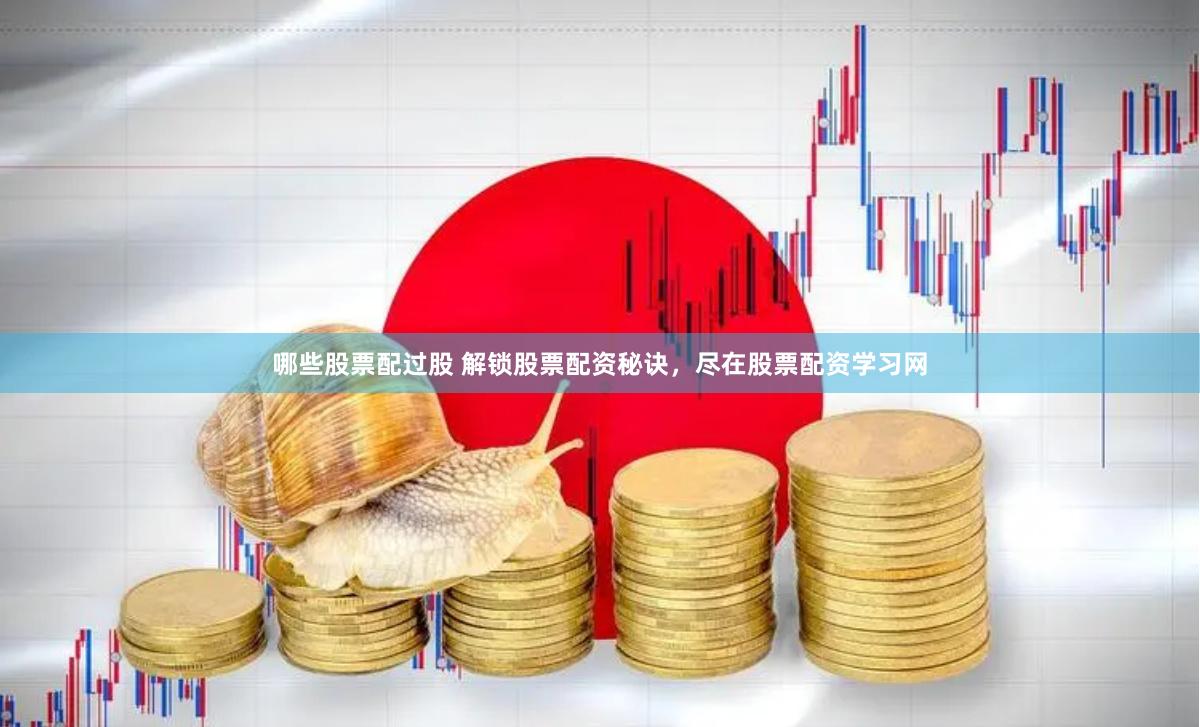 哪些股票配过股 解锁股票配资秘诀，尽在股票配资学习网