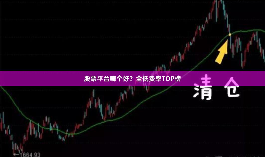 股票平台哪个好?全低费率TOP榜