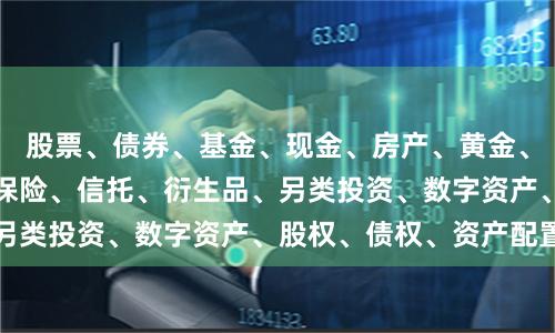 股票、债券、基金、现金、房产、黄金、外汇、大宗商品、保险、信托、衍生品、另类投资、数字资产、股权、债权、资产配置